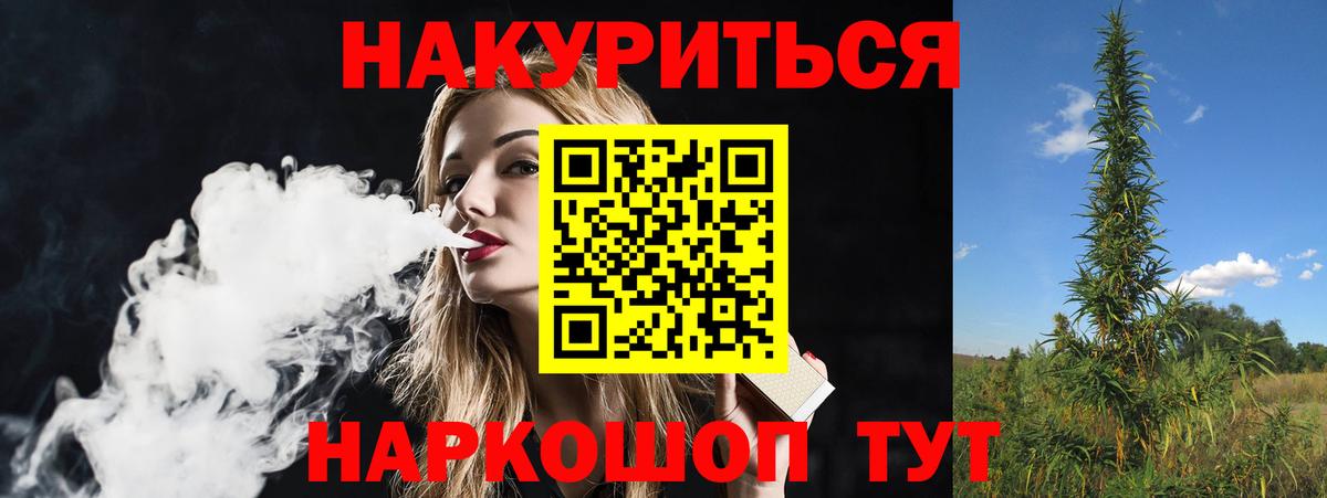Донской  МАРИХУАНА Bruce Banner  Вход с VPN  Каннабис планчик  Канабис конопля 